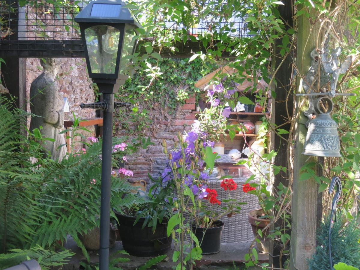 Little Orchard Apartment Pont Yates Zewnętrze zdjęcie