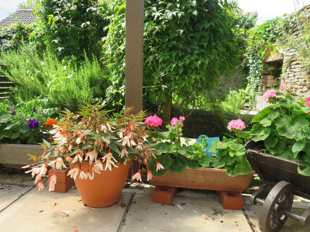 Little Orchard Apartment Pont Yates Zewnętrze zdjęcie